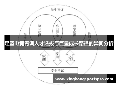 足篮电竞青训人才选拔与巨星成长路径的异同分析