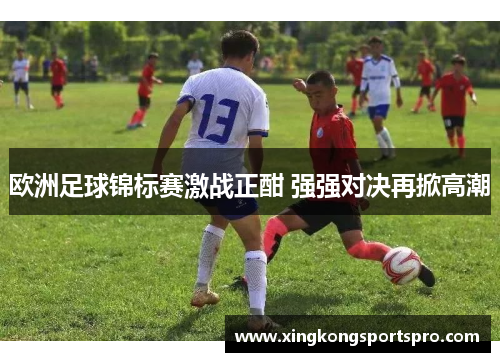 欧洲足球锦标赛激战正酣 强强对决再掀高潮