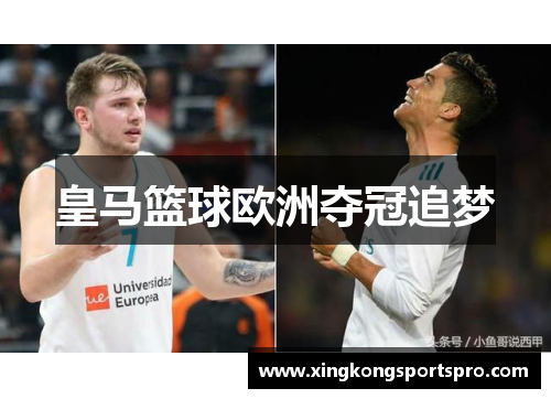 皇马篮球欧洲夺冠追梦
