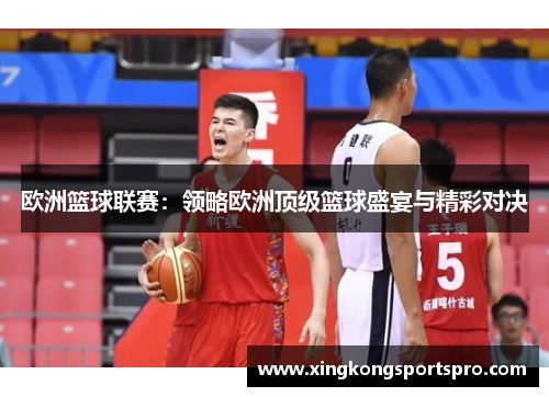 欧洲篮球联赛：领略欧洲顶级篮球盛宴与精彩对决
